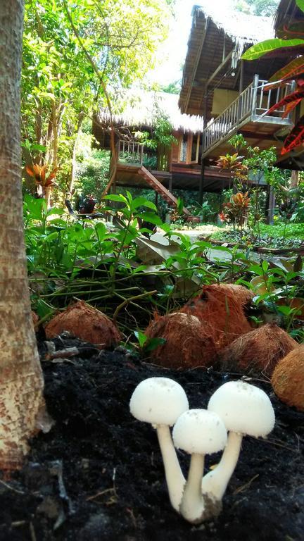 Hotel Kafair Hut (Adults Only) Koh Lipe Exterior foto